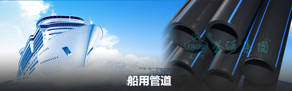 旺财28官网-追求康健,你我一起生长