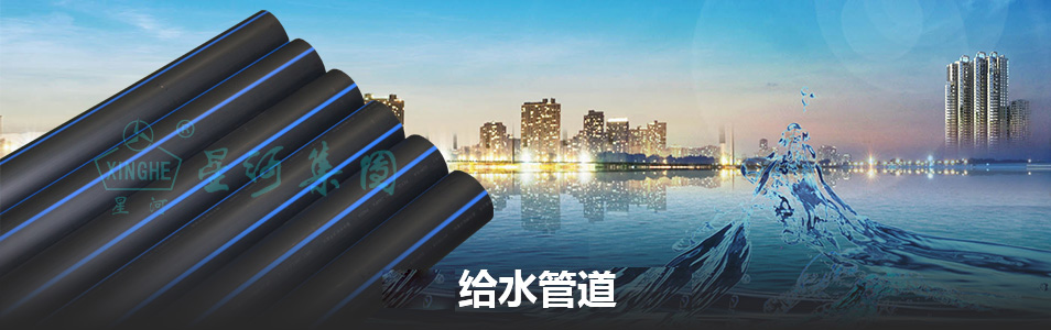 旺财28官网-追求康健,你我一起生长