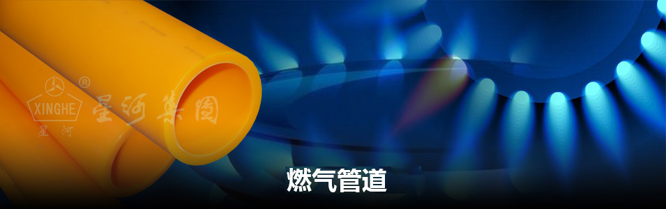 旺财28官网-追求康健,你我一起生长