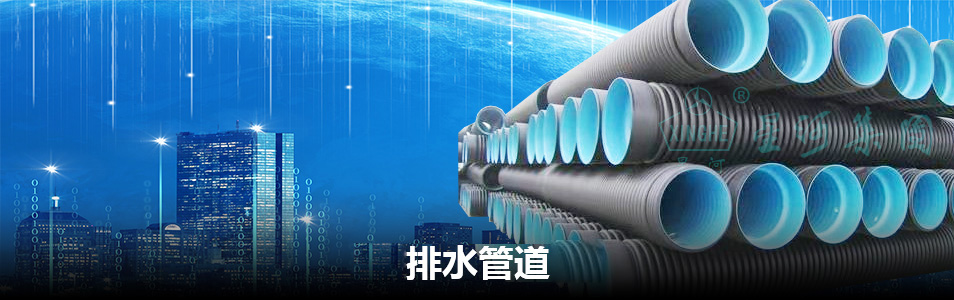 旺财28官网-追求康健,你我一起生长